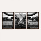 Black White Texas Longhorn Bull Canvas Wall Art, Western Ranch Cattle