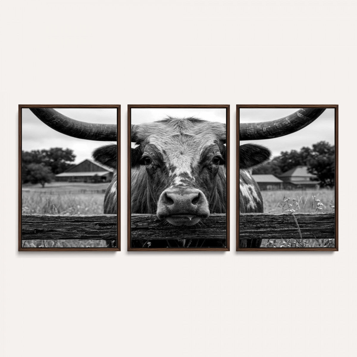 Black White Texas Longhorn Bull Canvas Wall Art, Western Ranch Cattle