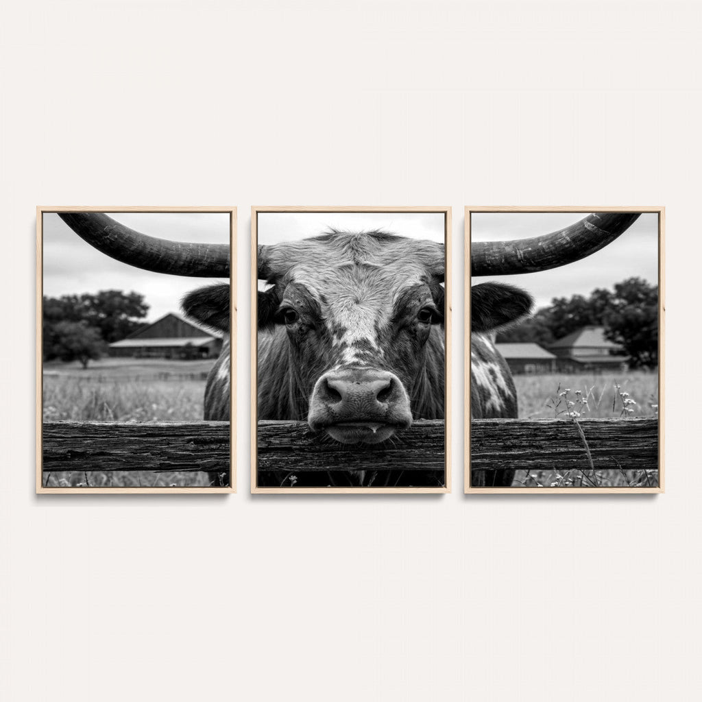 Black White Texas Longhorn Bull Canvas Wall Art, Western Ranch Cattle