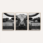Black White Texas Longhorn Bull Canvas Wall Art, Western Ranch Cattle