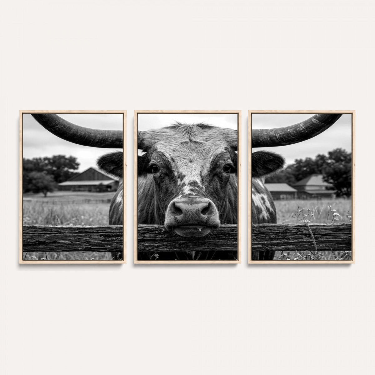 Black White Texas Longhorn Bull Canvas Wall Art, Western Ranch Cattle