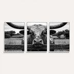 Black White Texas Longhorn Bull Canvas Wall Art, Western Ranch Cattle