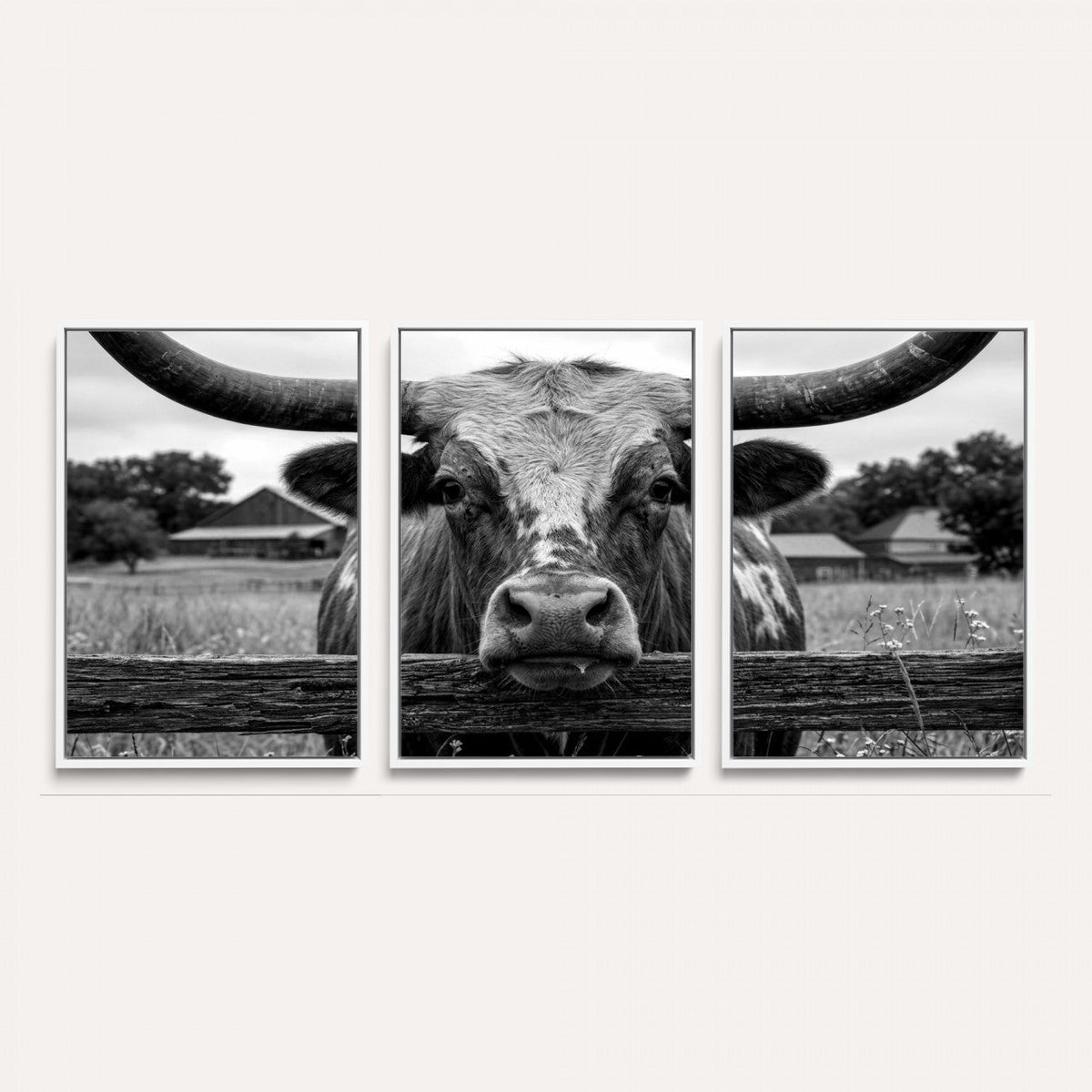 Black White Texas Longhorn Bull Canvas Wall Art, Western Ranch Cattle