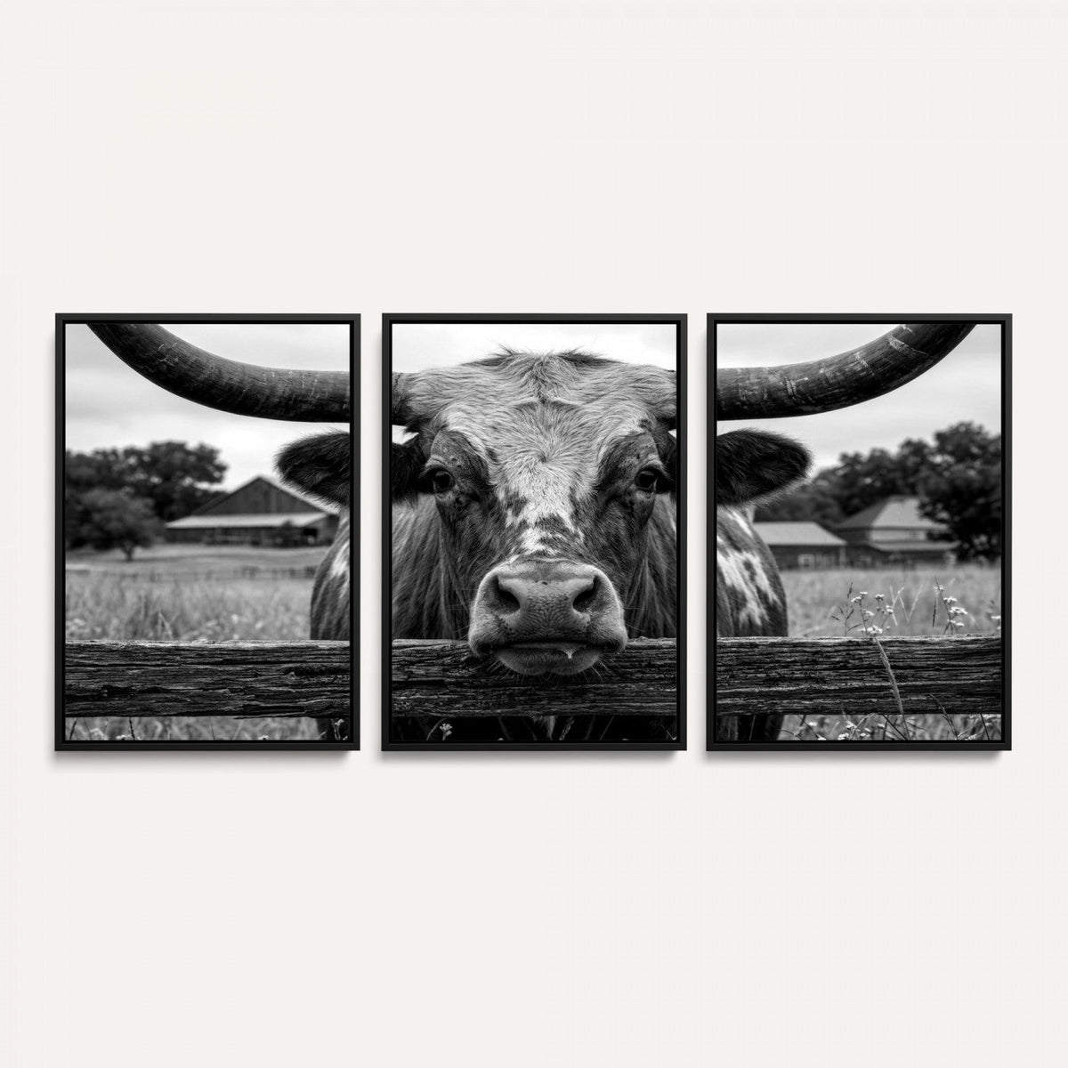 Black White Texas Longhorn Bull Canvas Wall Art, Western Ranch Cattle