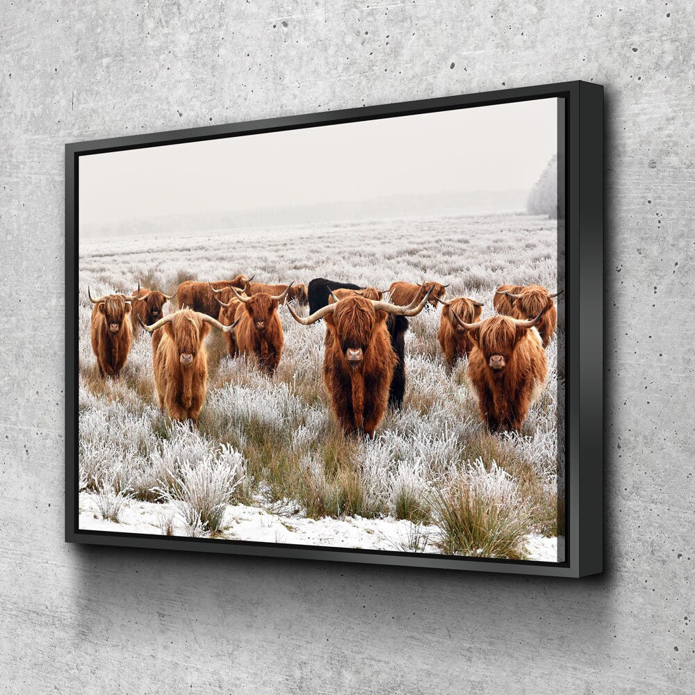 Highland Cows Canvas Wall Art, Ranch Art, XL Wall Art, Ranch Style Home Decor, Scottish Cows, Scottish Highlanders
