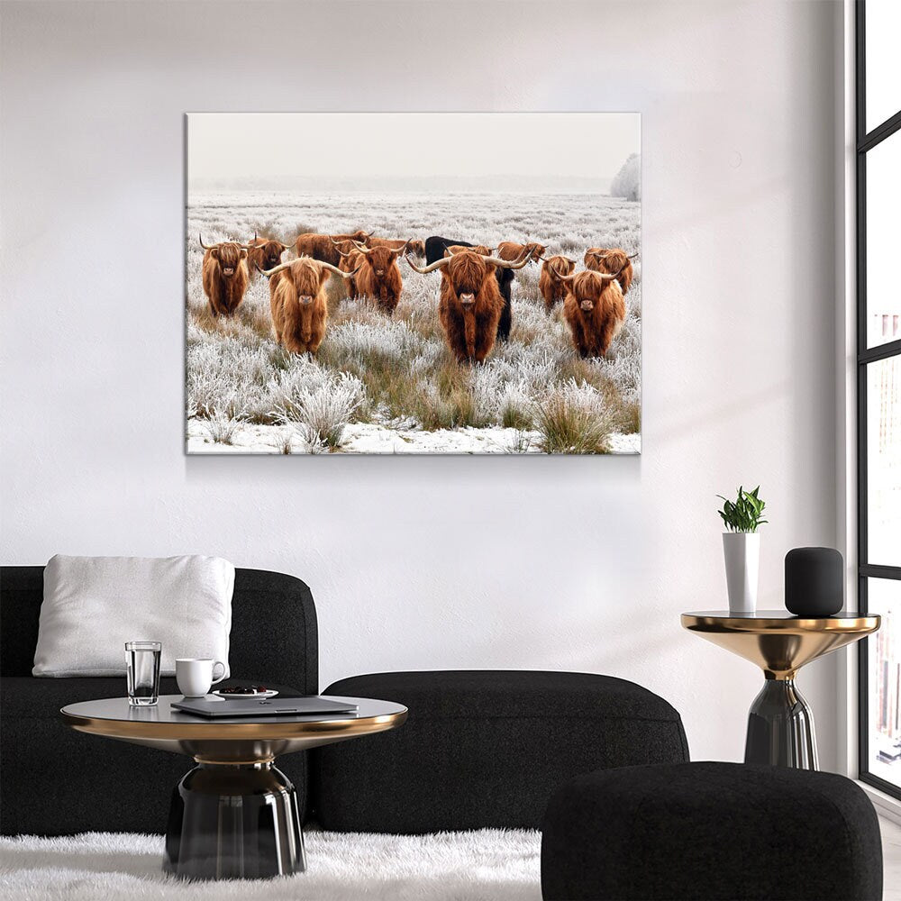 Highland Cows Canvas Wall Art, Ranch Art, XL Wall Art, Ranch Style Home Decor, Scottish Cows, Scottish Highlanders