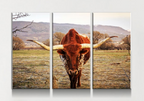 Texas Longhorn Canvas Wall Art, Ranch Art, XL Wall Art, Ranch Style Home Decor, 3 Piece Wall Art, 5 Piece Wall Art, Extra Large Wall art