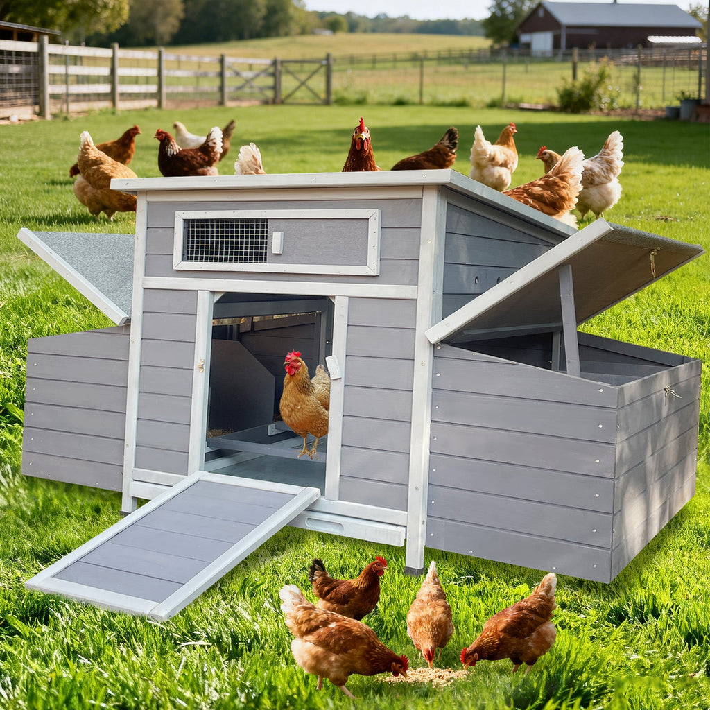 Large Wooden Chicken Coop Outdoor Hen House with Nesting Boxes