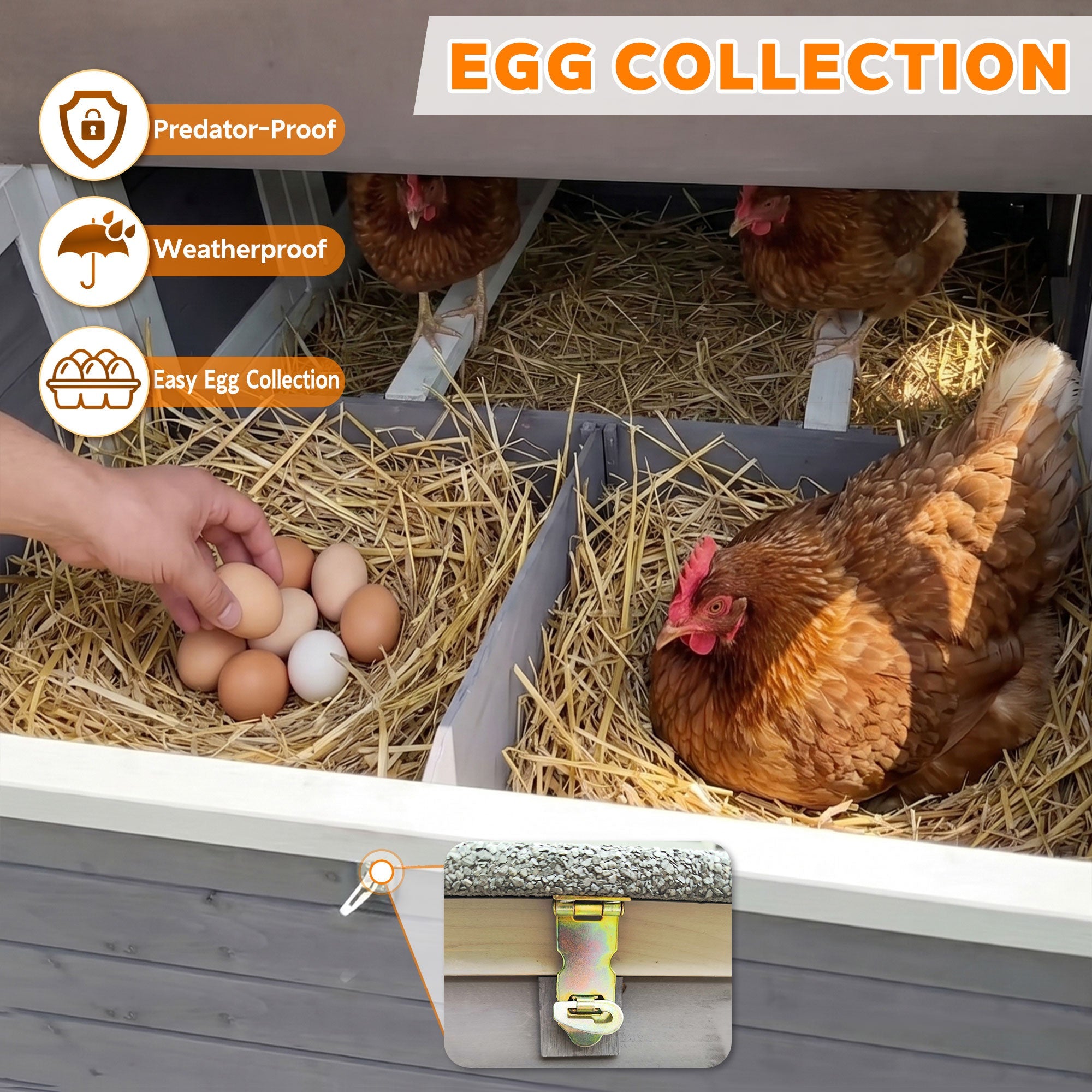 150" Extra Large Wooden Chicken Coop