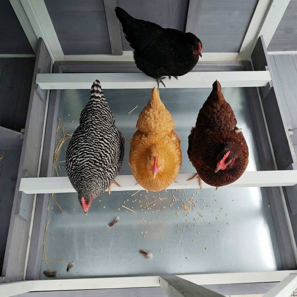 150" Extra Large Wooden Chicken Coop