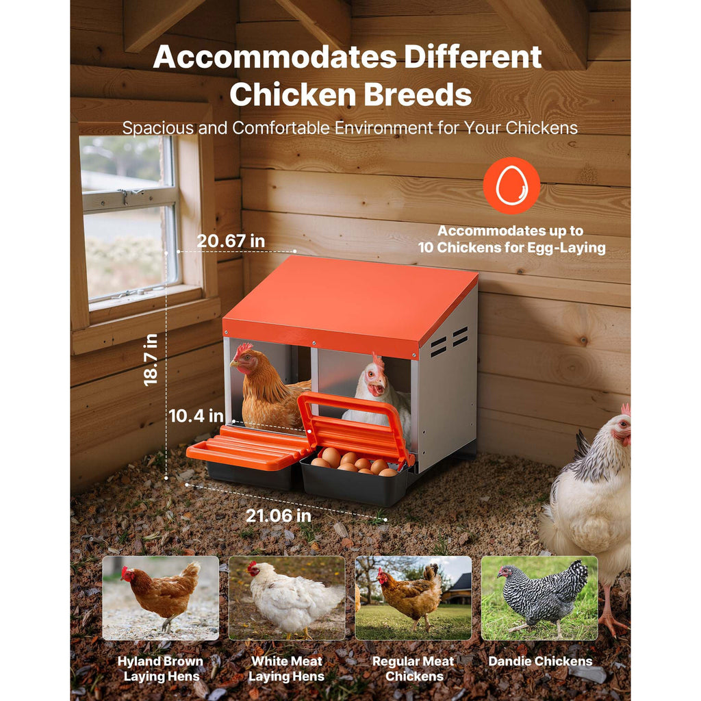 Chicken Nesting Boxes, 2 Compartments, Easy Egg Collection