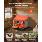 Chicken Nesting Boxes, 2 Compartments, Easy Egg Collection