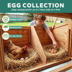 Large Chicken Coop with Nest Box and Run