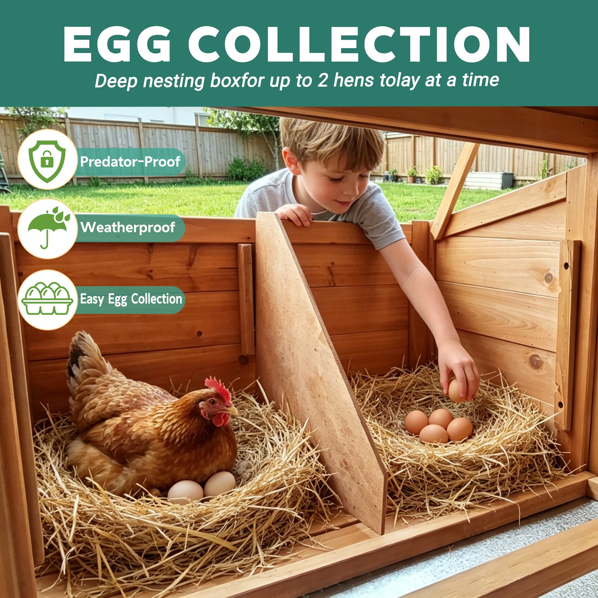 Large Chicken Coop with Nest Box and Run