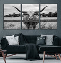 Black White Texas Longhorn Bull Canvas Wall Art, Western Ranch Cattle, Framed and Ready to Hang
