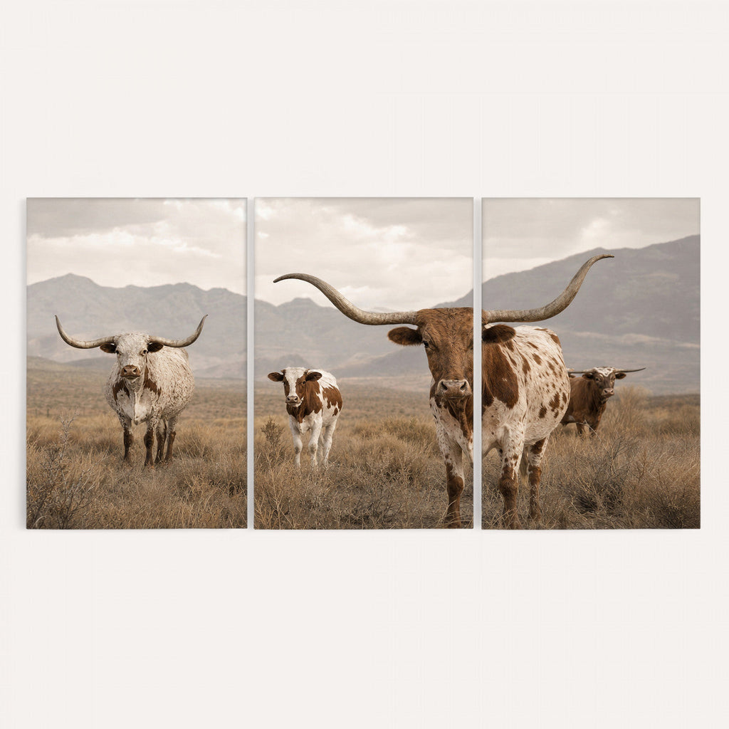 Rustic Texas Longhorn Cow Canvas Wall Art Print, Rustic Farm Animal