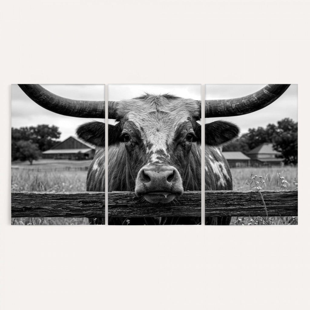 Black White Texas Longhorn Bull Canvas Wall Art, Western Ranch Cattle