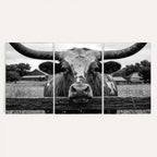 Black White Texas Longhorn Bull Canvas Wall Art, Western Ranch Cattle