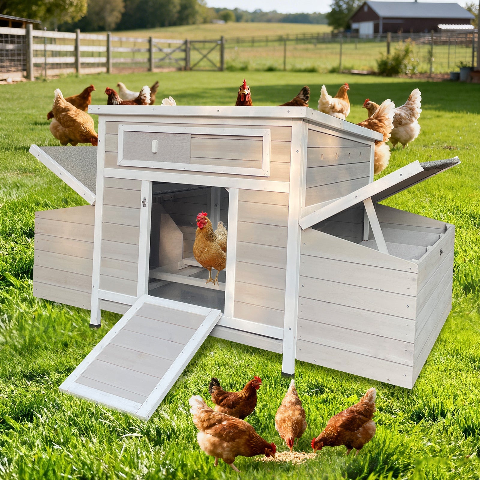 Large Wooden Chicken Coop Outdoor Hen House with Nesting Boxes