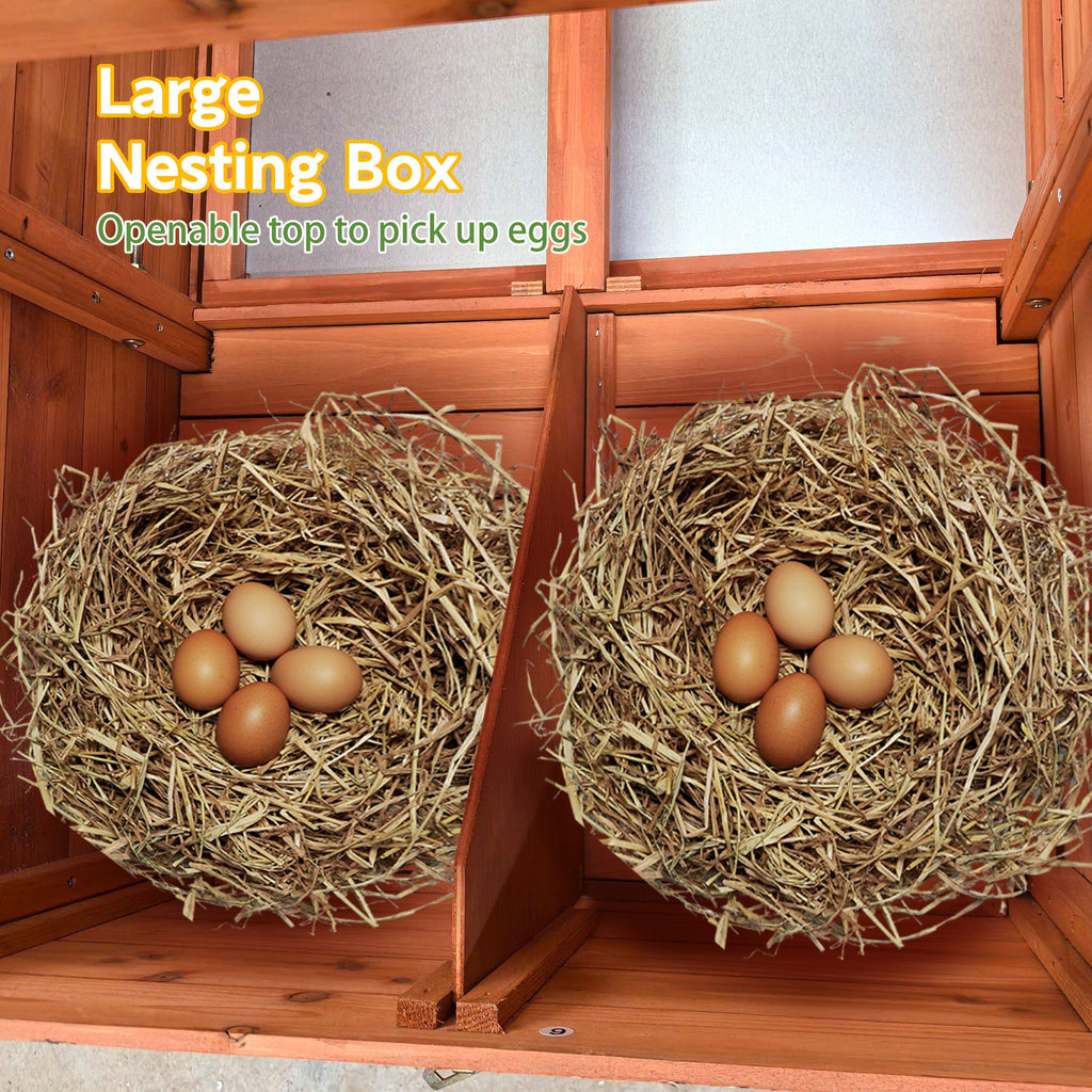 70" Large Wooden Chicken Coop with 2 Nesting Boxes