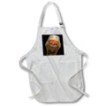 Apron - Brown Duck With Geeky Expressive Face Cartoon Style Vector Art - Duck