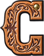 Baha Ranch Monogrammed Initial Western Leather Look Saddle Longhorn Cowboy Cowgirl Kitchen Dish Towels Made in America