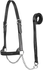 Derby Originals New and Improved Premium Show Spotted Flat Leather Cattle Show Halter, Small/Medium/Large, Adjustable Fit with 48" Lead and 19.5" Chain, Elegant Show Spots, 1-Year Warranty