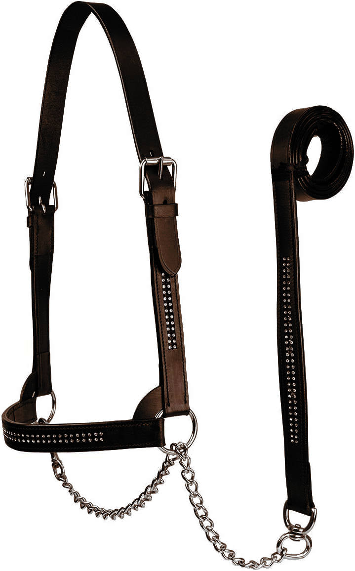 Derby Originals New and Improved Premium Show Spotted Flat Leather Cattle Show Halter, Small/Medium/Large, Adjustable Fit with 48" Lead and 19.5" Chain, Elegant Show Spots, 1-Year Warranty