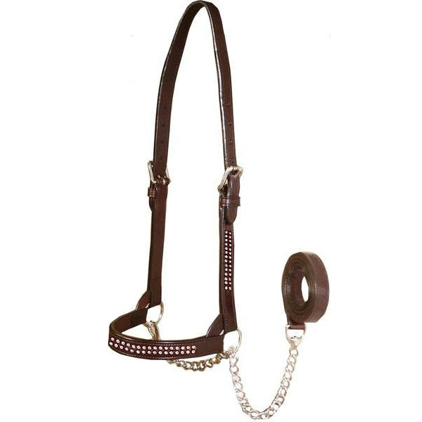 Derby Originals New and Improved Premium Show Spotted Flat Leather Cattle Show Halter, Small/Medium/Large, Adjustable Fit with 48" Lead and 19.5" Chain, Elegant Show Spots, 1-Year Warranty