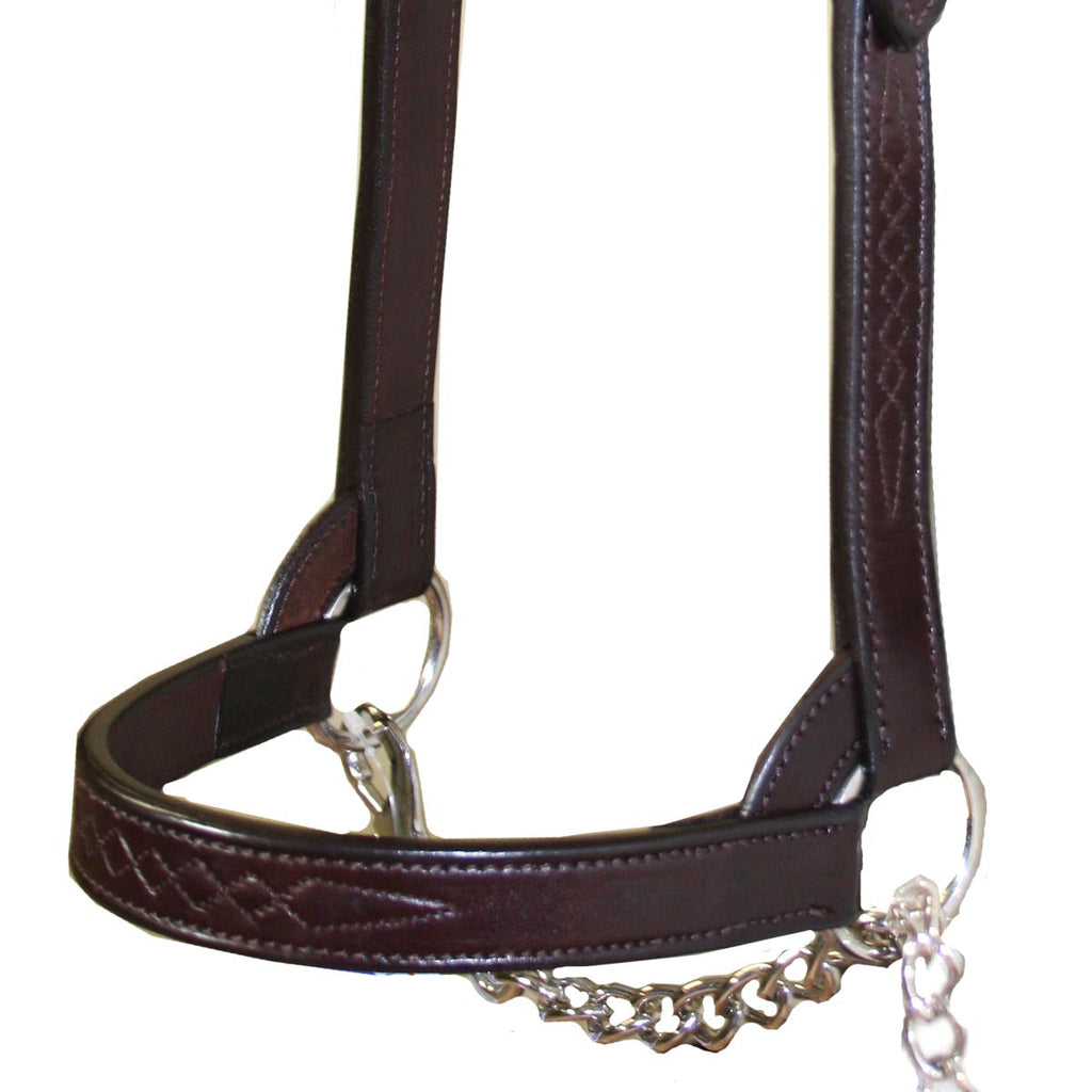 Derby Originals Premium Fancy Stitch Flat Leather Cattle Show Halter – Adjustable Fit with 48" Lead and 14" Chain, Small/Medium/Large – 1-Year Warranty