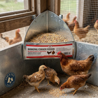 Little Giant Galvanized Hanging Corner Poultry Feeder Space-Saving Chicken Farm