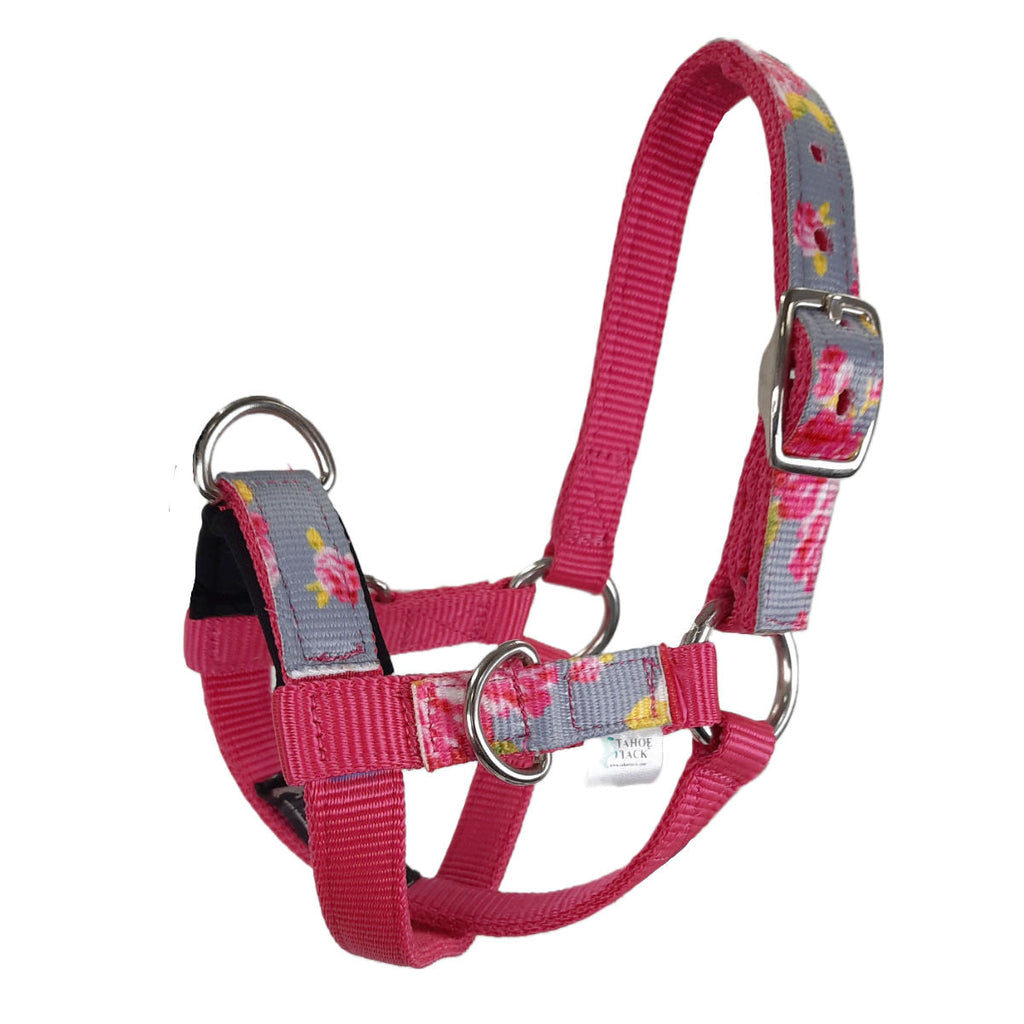 Tahoe Tack Nylon Overlay Sheep and Goat Training Halter with Padded Noseband with 6 Month Warranty