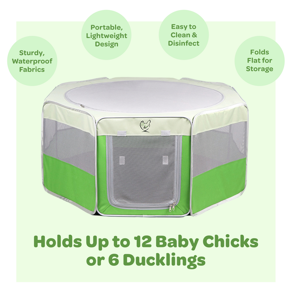 Hen Pen Deluxe Pop-Up Chick Brooder