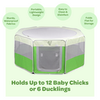 Hen Pen Deluxe Pop-Up Chick Brooder