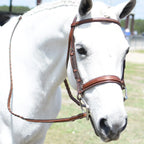 Huntley Equestrian Sedgwick Fancy Stitched Square Raised Hunter Horse Bridle with Reins