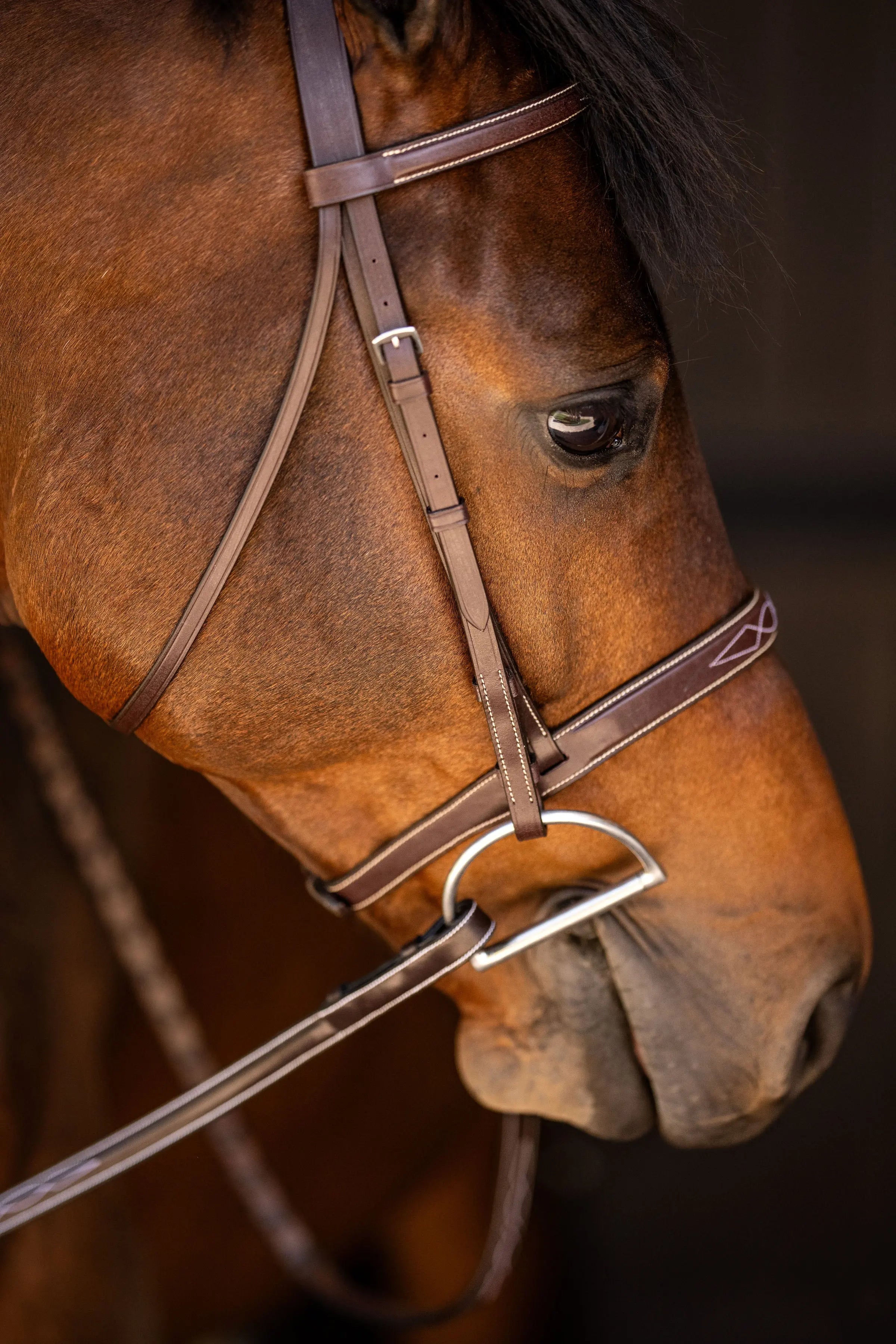 Huntley Equestrian Sedgwick Fancy Stitched Square Raised Hunter Horse Bridle with Reins