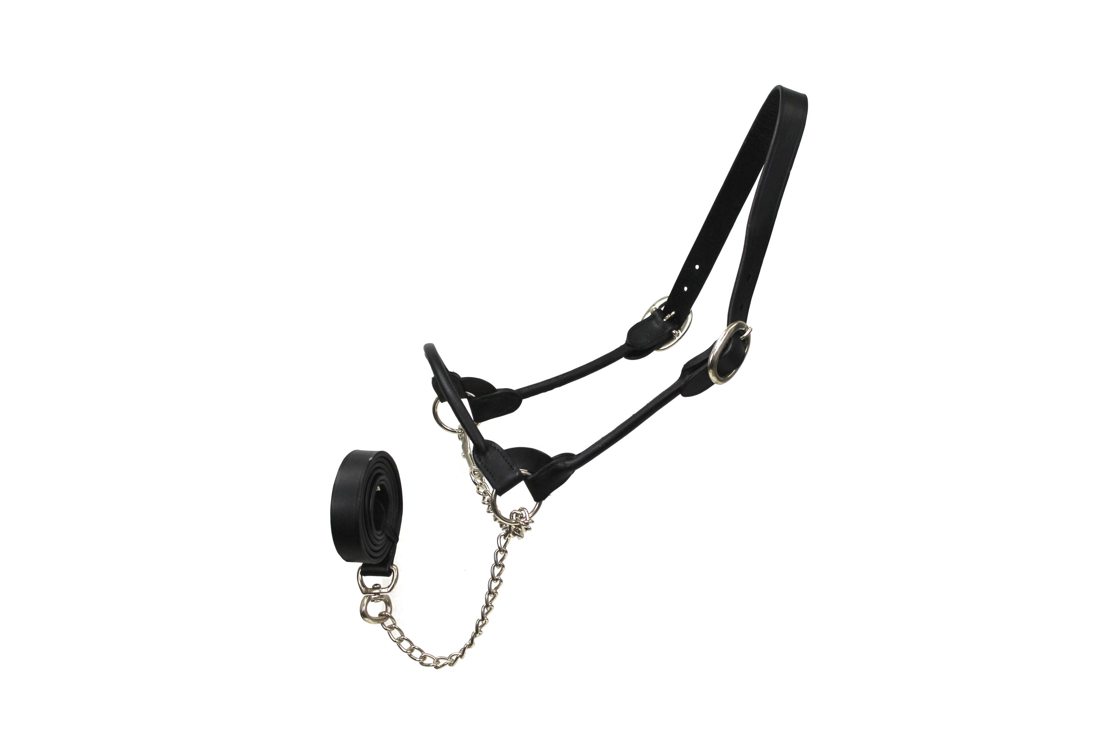 Derby Originals Rolled Leather Cattle Show Halter – Adjustable Fit with 48" Lead and 14" Chain, Small/Medium/Large – 1-Year Warranty