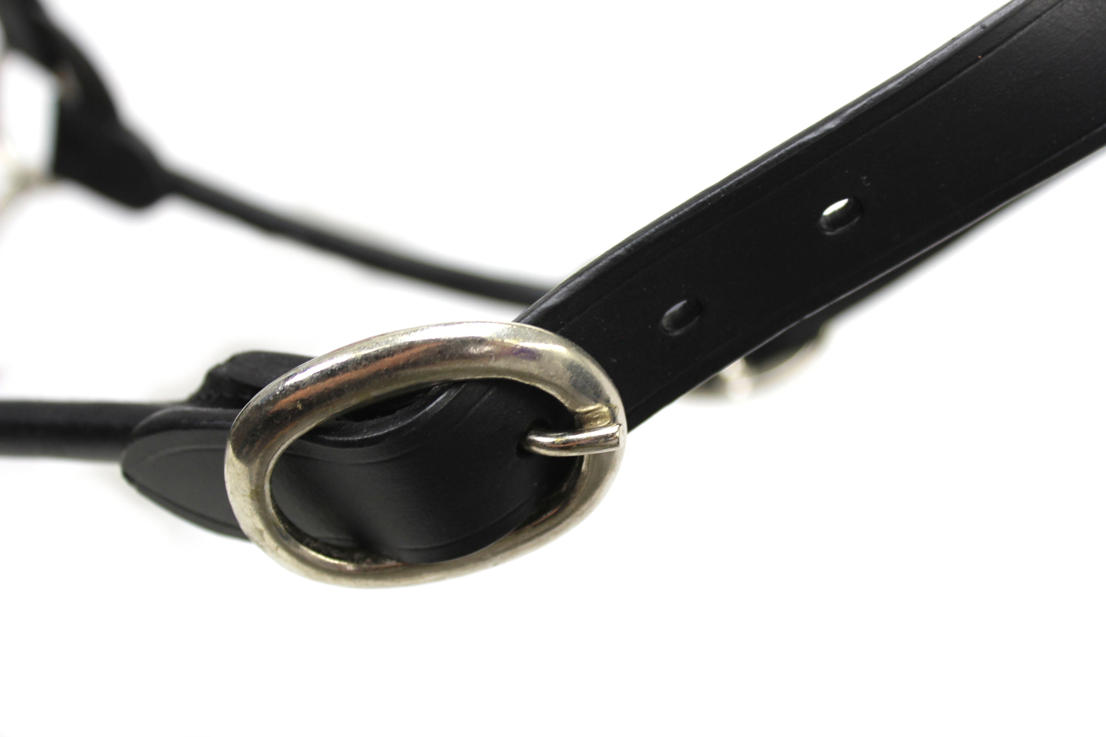 Derby Originals Rolled Leather Cattle Show Halter – Adjustable Fit with 48" Lead and 14" Chain, Small/Medium/Large – 1-Year Warranty