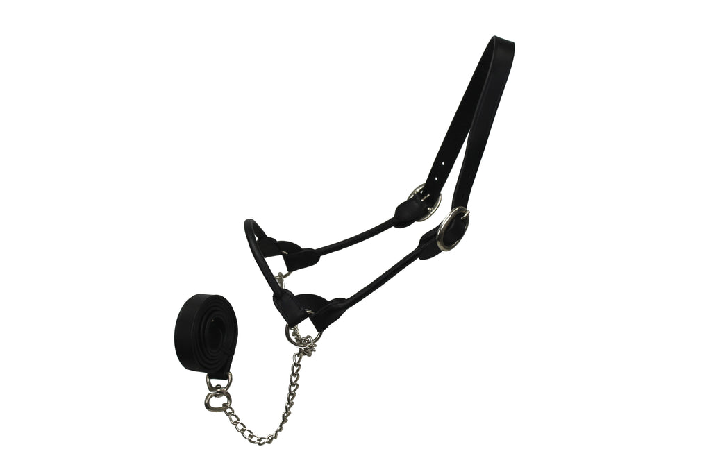 Derby Originals Rolled Leather Cattle Show Halter – Adjustable Fit with 48" Lead and 14" Chain, Small/Medium/Large – 1-Year Warranty
