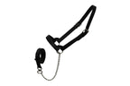 Derby Originals Premium Fancy Stitch Flat Leather Cattle Show Halter – Adjustable Fit with 48" Lead and 14" Chain, Small/Medium/Large – 1-Year Warranty