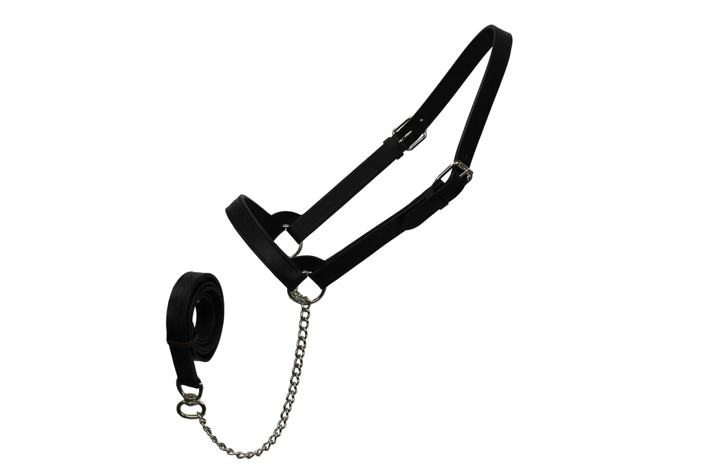 Derby Originals Premium Fancy Stitch Flat Leather Cattle Show Halter – Adjustable Fit with 48" Lead and 14" Chain, Small/Medium/Large – 1-Year Warranty