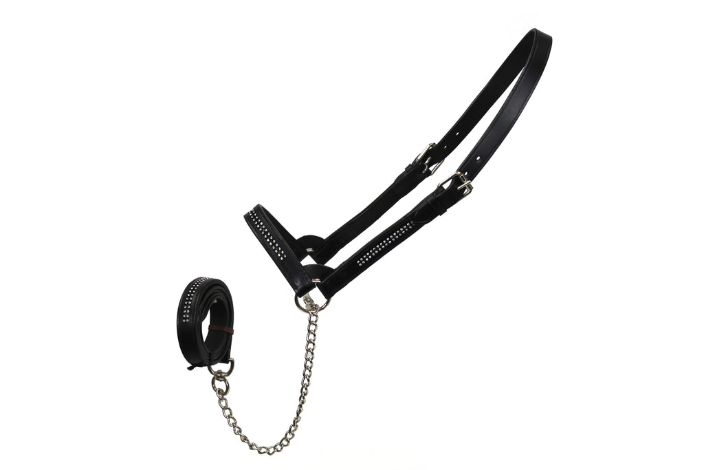 Derby Originals New and Improved Premium Show Spotted Flat Leather Cattle Show Halter, Small/Medium/Large, Adjustable Fit with 48" Lead and 19.5" Chain, Elegant Show Spots, 1-Year Warranty