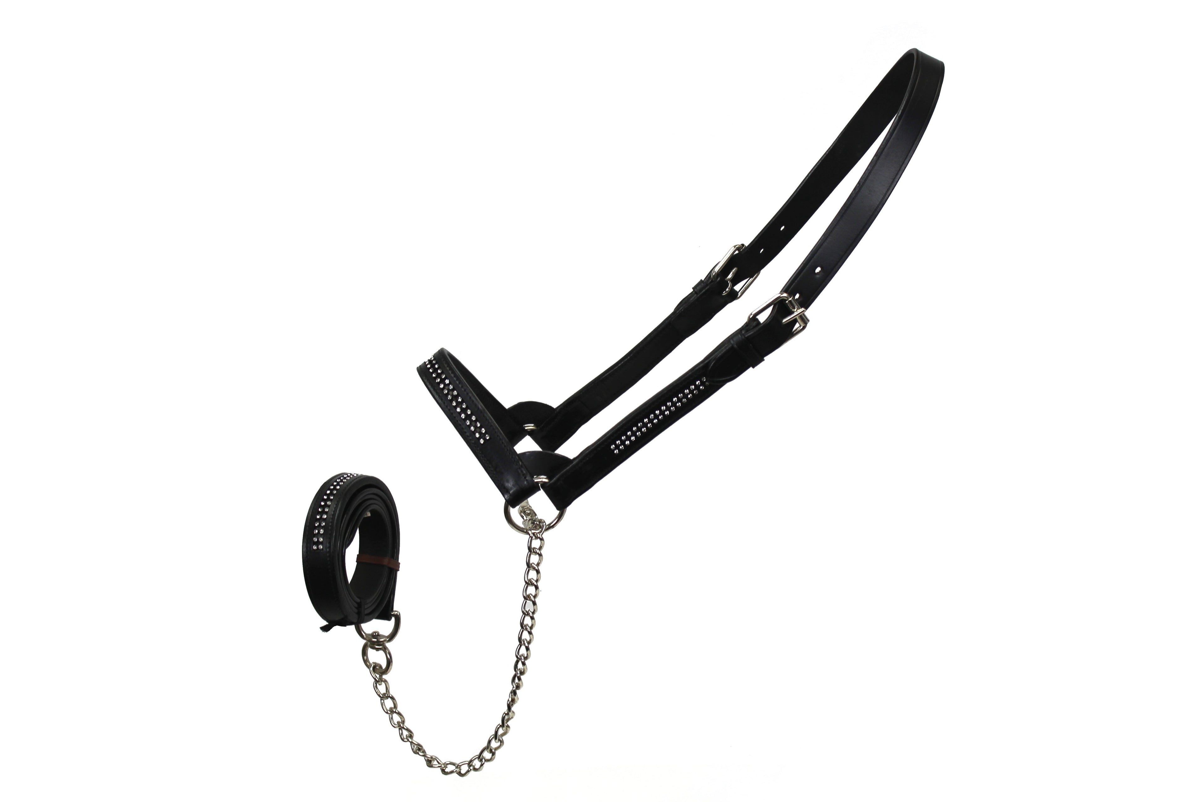 Derby Originals New and Improved Premium Show Spotted Flat Leather Cattle Show Halter, Small/Medium/Large, Adjustable Fit with 48" Lead and 19.5" Chain, Elegant Show Spots, 1-Year Warranty