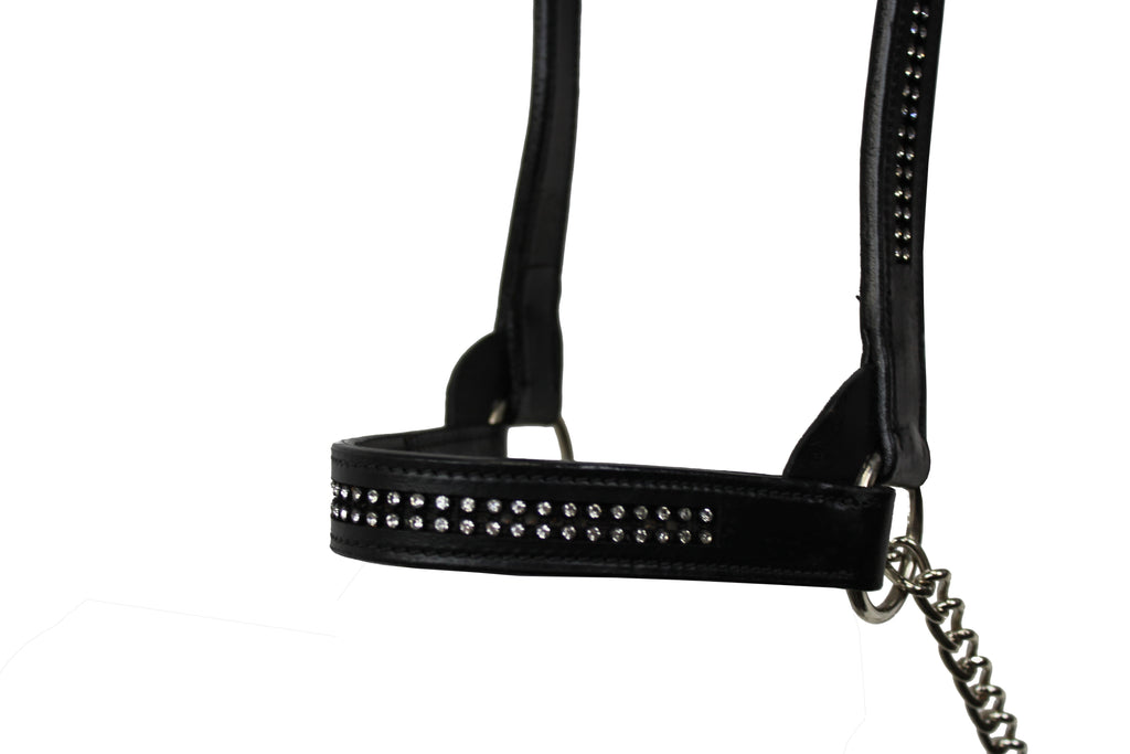 Derby Originals New and Improved Premium Show Spotted Flat Leather Cattle Show Halter, Small/Medium/Large, Adjustable Fit with 48" Lead and 19.5" Chain, Elegant Show Spots, 1-Year Warranty