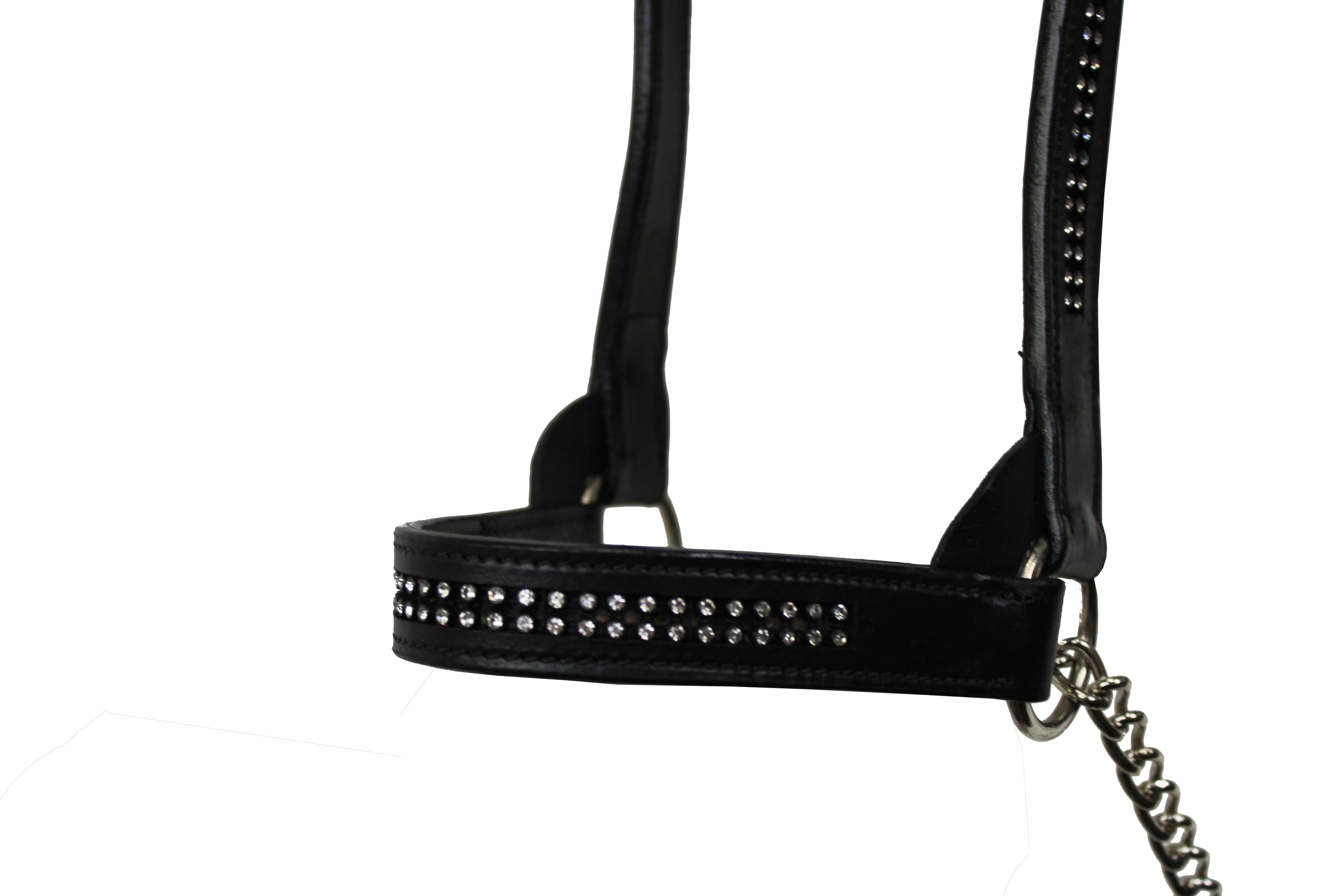 Derby Originals New and Improved Premium Show Spotted Flat Leather Cattle Show Halter, Small/Medium/Large, Adjustable Fit with 48" Lead and 19.5" Chain, Elegant Show Spots, 1-Year Warranty
