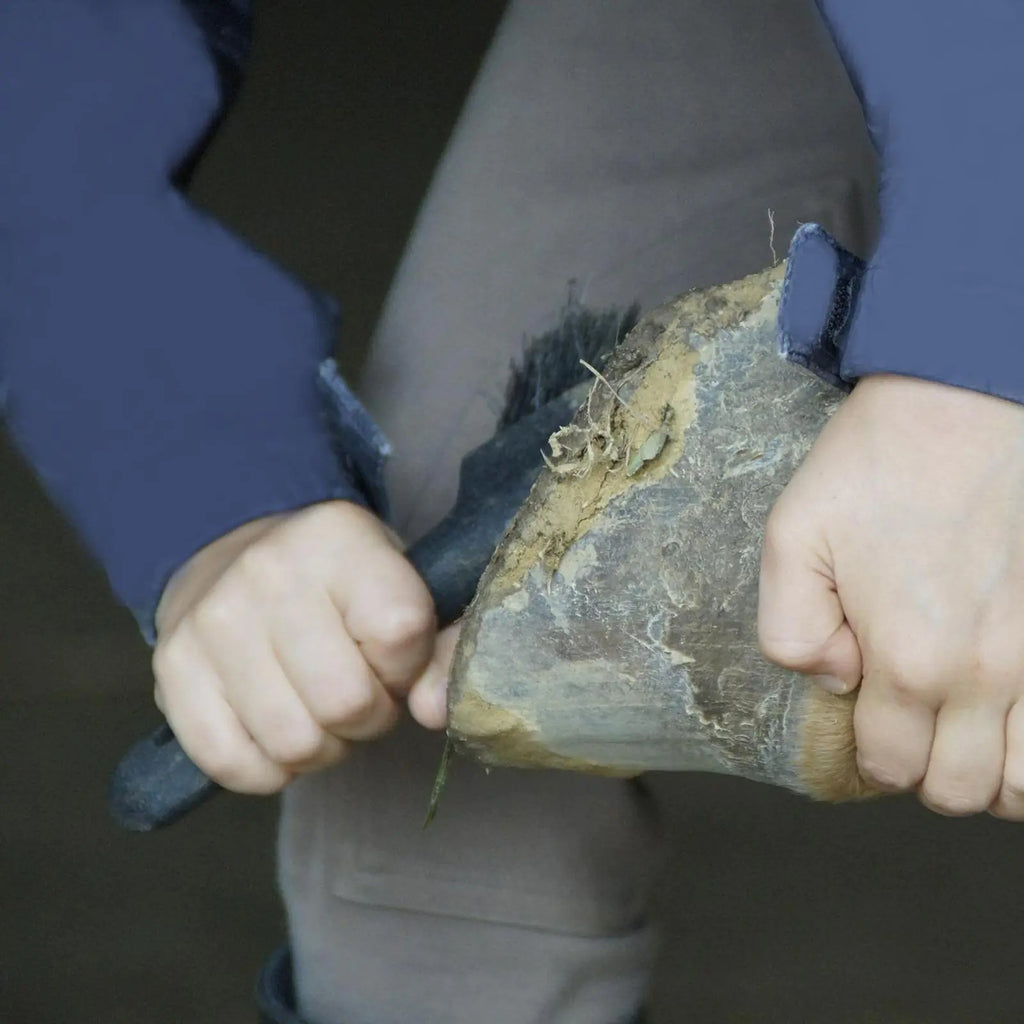 Horse Grooming Hoof Pick and A Brush