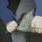 Horse Grooming Hoof Pick and A Brush