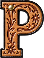 Baha Ranch Monogrammed Initial Western Leather Look Saddle Longhorn Cowboy Cowgirl Kitchen Dish Towels Made in America