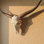 ADG42 Decorative Steer Skull and Horns Western Wall Decor