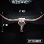 ADG42 Modern Large Steer Skull and Horns Wall Art | 30"